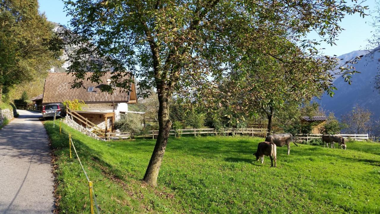 Chalet La Nos Molina di Ledro Habitación foto